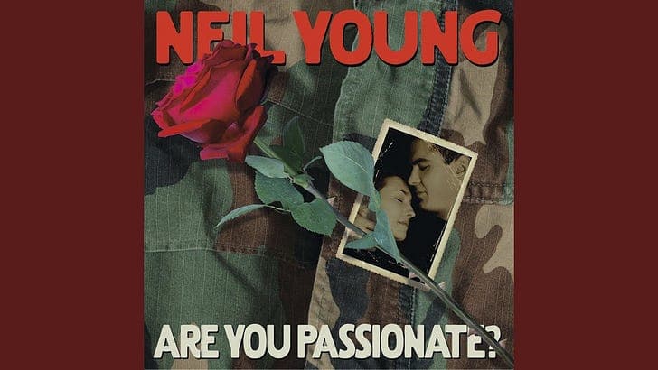 Cover for Are You Passionate?