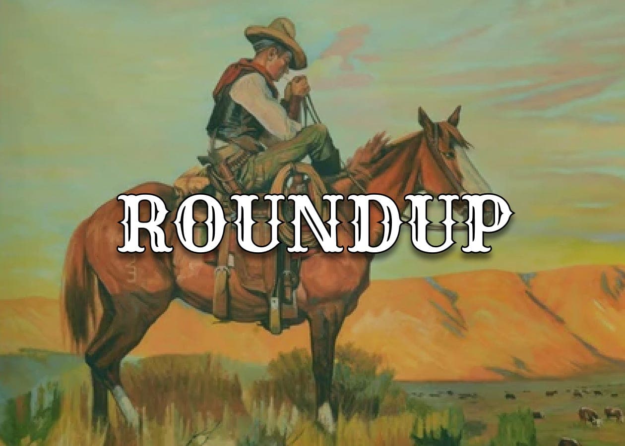 Cover for August 5 - 10, 2024 Weekly Roundup